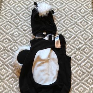 Pottery Barn Skunk Costume